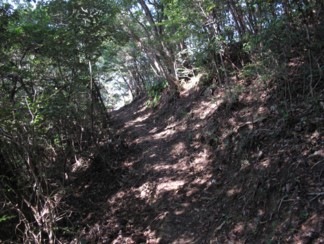 20131116hike (249)